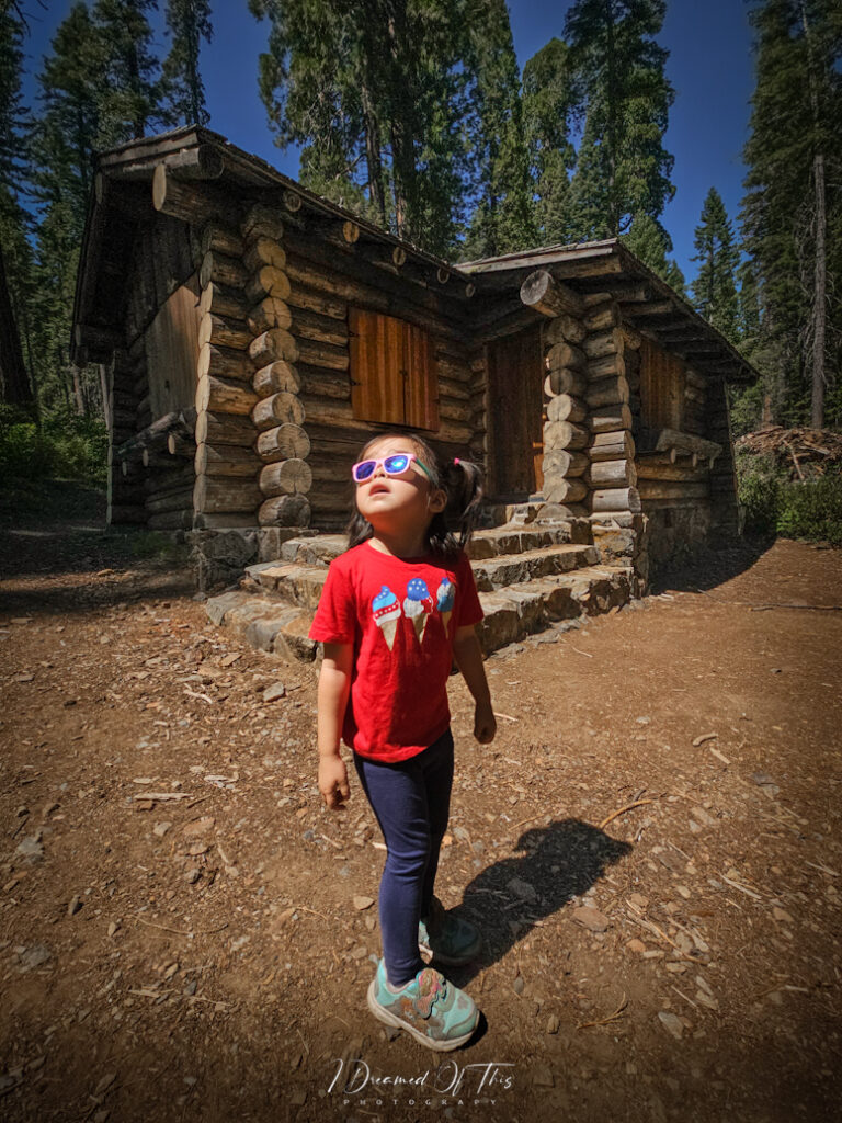 Cabin @ Merced Grove, Yosemite